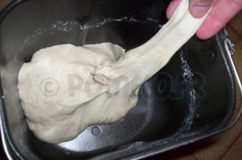 autolyse1.jpg, jan 2009